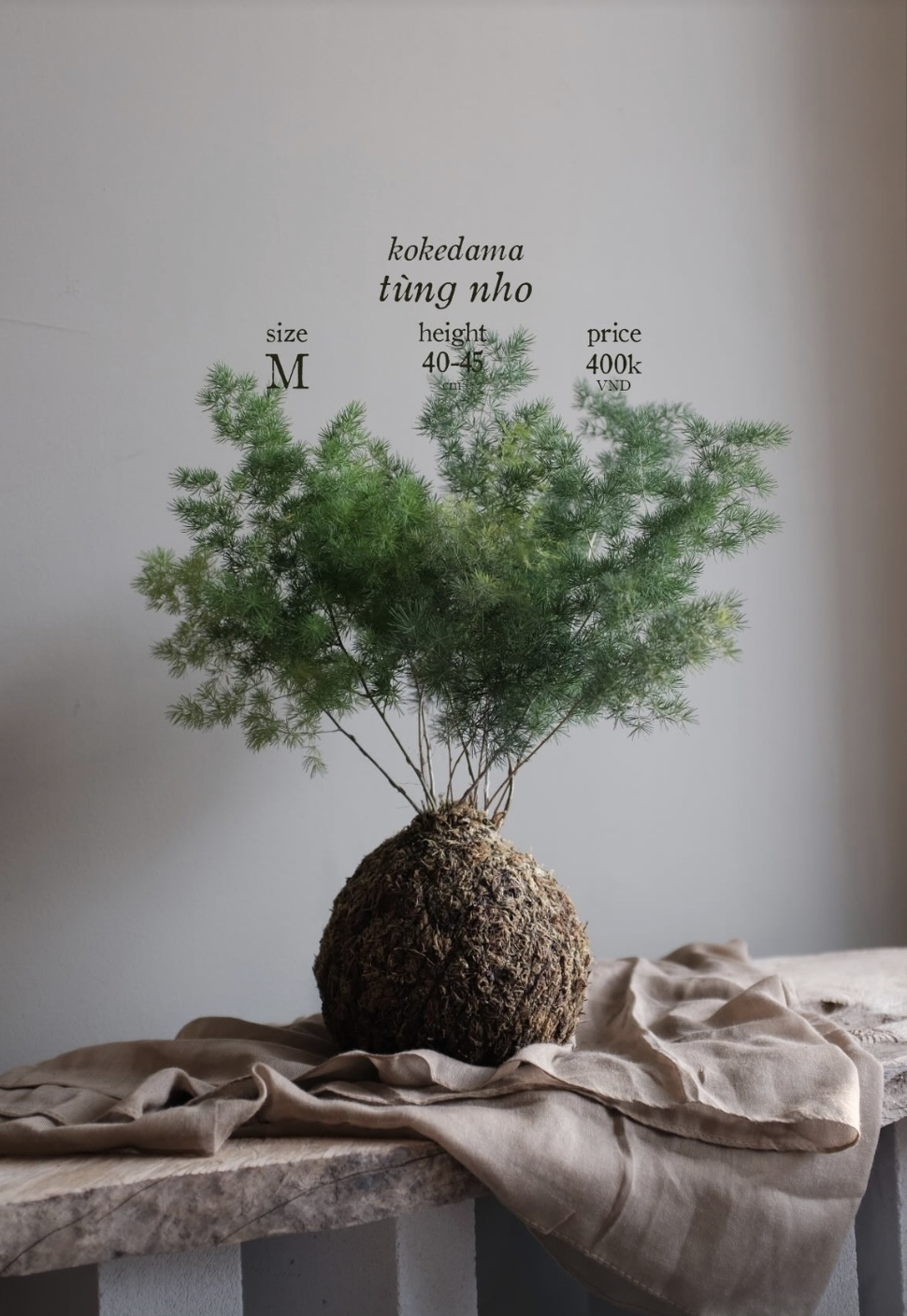 Screenshot 2024-08-22 at 12.02.06 PM